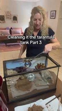 Cleaning out the tarantula tank Part 3