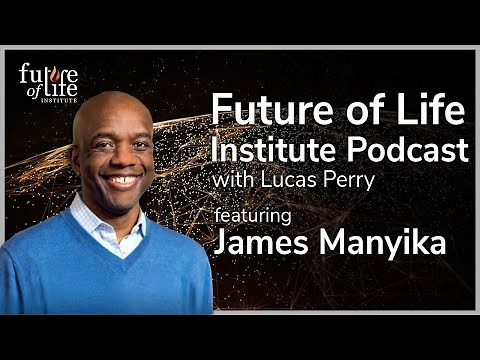 James Manyika on Global Economic and Technological Trends