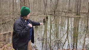 2.3K views · 64 reactions | The vernal pools behind Carlisle Visitor Center are literally vibrating with noise! Avian Program Curator Mary shows us what to look for. Join us for a Carlisle Vernal Pool Hike on Sat., March 23 at 2:30 pm. Registration is not required. This is a moderate level, 2 mile hike. Come dressed appropriately for water and mud. | Lorain County Metro Parks | Facebook