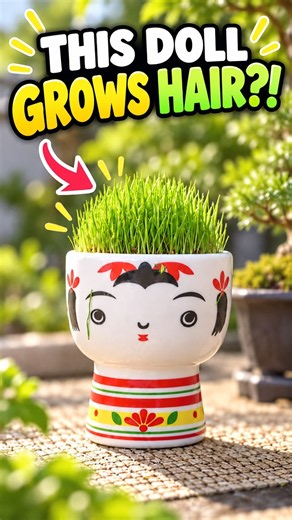 This Japanese Doll Grows Hair?! | Kokeshi Grass Kit 🇯🇵