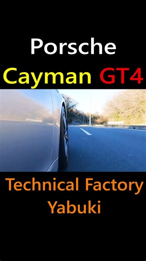 PORSCHE Cayman GT4 981 #porsche #caymangt4 #gt4