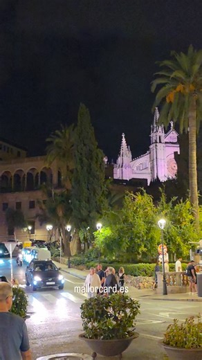 The night in Palma feels alive in the soft glow of the city lights. The air is warm and calm, carrying the scent of the sea through quiet streets that lead to the heart of the old town. From the terrace, the view opens to the magnificent Cathedral La Seu, shining like gold against the deep blue sky. People laugh softly over glasses of wine, the gentle sound of waves echoing from the harbor below. Music drifts through the distance, blending with the rhythm of the island. Everything feels timeless