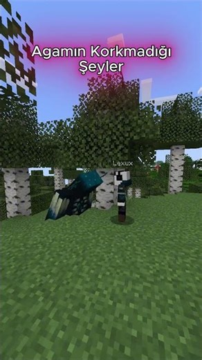 minecraft ama agamın korkmadığı şeyler