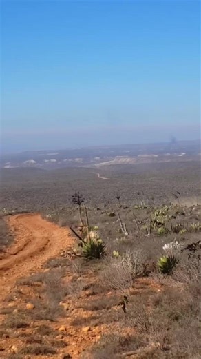 1.9K views · 43 reactions | SCORE International Baja Sos Baja Black Prerunner Trucks | Piol Leon Arce | Facebook