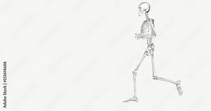 3D skeleton in white on a white background running in loop. Side view. anatomy of a man's race with the reconstructed movements in digital animation. Stock Video
