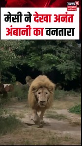 678K views · 22K reactions | मेसी ने देखा अनंत अंबानी का वनतारा #anantambani #messi #vantara | News18 Madhya Pradesh | Facebook