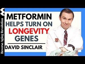 DAVID SINCLAIR “Metformin Helps Turn On the Longevity Genes" | Dr David Sinclair Interview Clips