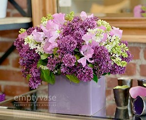 The Orgin You Probably Didn't Know About Lilac Flowers