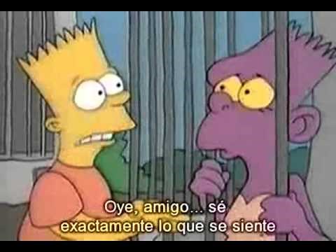 Cortos de Los Simpson - Episodio 29 - La historia del zoologico