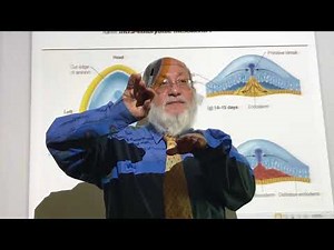 General embryology 13 ( 3rd. week of development ,Gastrulation ) , by dr. wahdan