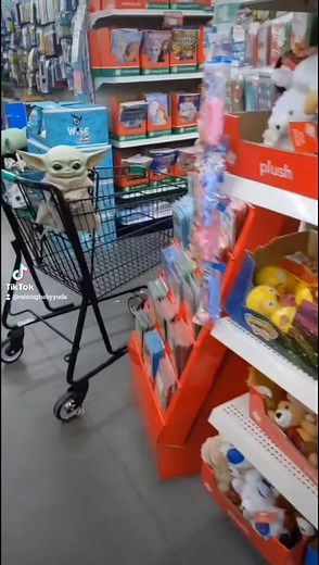 Raising BabyYoda on TikTok