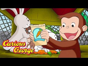 How Do You Grow Carrots? 🐵 Curious George 🐵 Kids Cartoon 🐵 Kids Movies - Videos For Kids