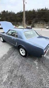 Maplemotors.com #americanmusclecars #hotrods #classics #vintage #1965 #mustang #ford