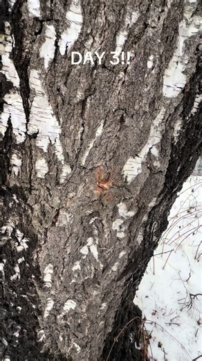 Day 3: Tips for Progress and Improvement