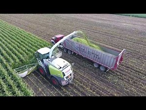 Stone Ridge Dairy Chopping Corn Silage