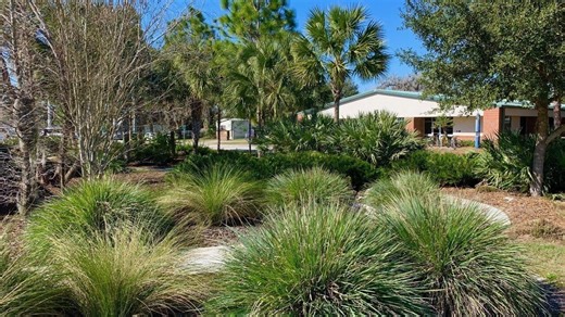 Too much water in your yard after summer rains? Consider adding a rain garden. Here's how