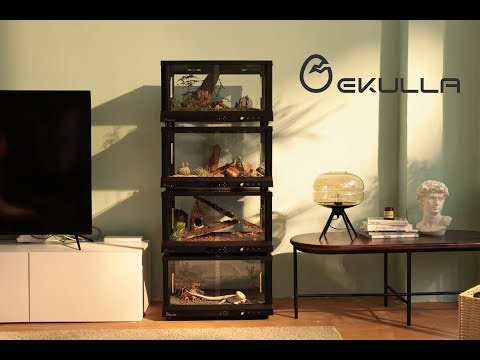 All-New Reptile Enclosure for 2024 | Ekulla Habitat Demo & Key Features