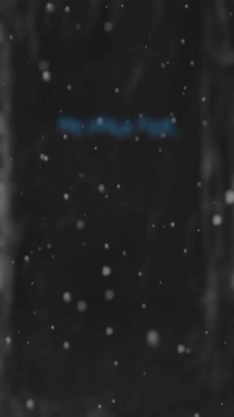 Jala Brat & Buba Coreli Bass❤️‍🔥 #jalabrat #bubacoreli #bass #viral #fyp