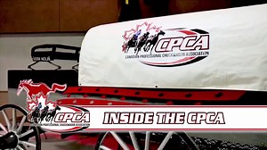 Take a look inside the CPCA as the season is close to kicking off after the Calgary Stampede Tarp Auction. | Canadian Professional Chuckwagon Association (CPCA)
