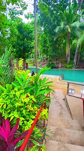 Cold Spring in Bohol😱 If you are a nature lover, this cold spring is best for you. You can appreciate its beauty since this place is surrounded by woodland💚 📍Jagna,Bohol | Jcboy