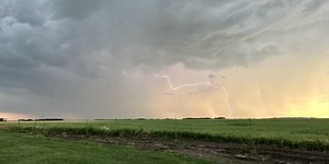 RealAg Radio: A weather forecast, soil health, and strike action updates, June 12, 2024