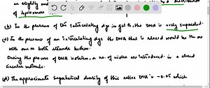 SOLVED:When DNA is subjected to electrophoresis in an agarose gel, shorter molecules migrate faster than longer ones. Closed-circular DNAs of the same size but different linking number also can be separated on an agarose gel: topoisomers that are more supercoiled, and thus more condensed, migrate faster through the gel-from top to bottom in the gels shown on the right. A dye, chloroquine, was added to these gels. Chloroquine intercalates between base pairs and stabilizes a more underwound DNA st