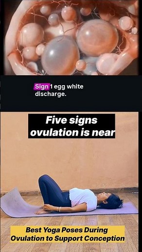 Best Yoga Poses During Ovulation to Support Conception | Fertility Yoga l