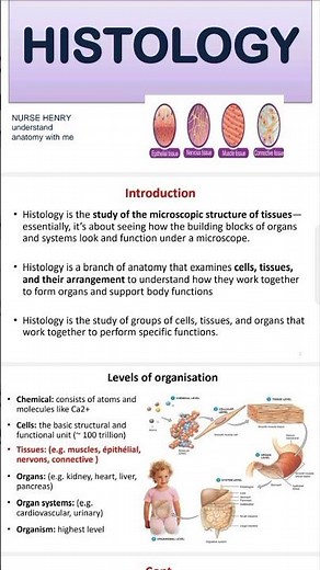 🩺 Histology explained in seconds – learn the basics today!#shortsvideo