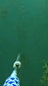 พุ่งเข้าหา | จักรพงษ์ แล้วแลงฟิชชิ่ง