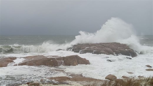 Nor'easter Numbers: Who saw what from the coastal storm?