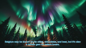 Top 10 Places To Visit For Nature Lovers In Belgium