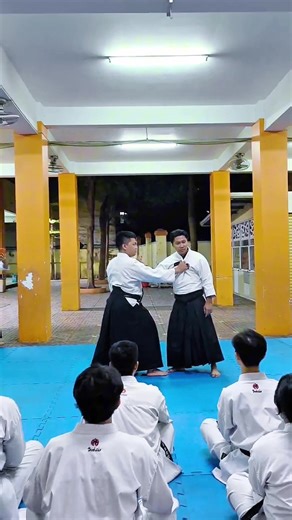 Training sessions Aikido techniques for Karate instructors: Mune dori - Sumi otoshi