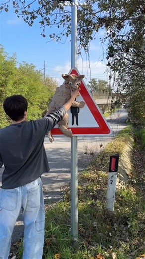 This boy makes art for people's safety #shortsvideo