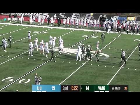 Highlights: Wagner Football vs. LIU