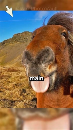 Incredible Rare Photos That Turn Pure Luck Into Perfect Art | 605