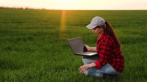 Female Agronomist Engineer Analyzing Green Wheat Stock Footage Video (100% Royalty-free) 3526876539 | Shutterstock