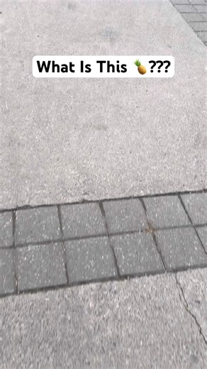 Bathing Suit Or Nah? #clothes #pineapple #bathingsuit #swimwear