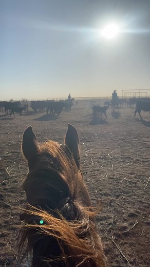 Four Sixes Ranch on TikTok