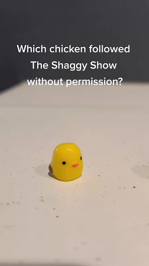 Mysterious Chicken Intruder | The Shaggy Show Exposed!