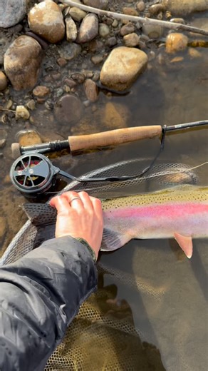 I bounced around quite a bit over the last few days. Here’s a few fish and scenes on my way to and from Arkansas. tacticalflyfisher.com • • • • • #flyfishing #trout #catchandrelease #troutfishing #troutbum #flyfishingnation #flyfish #flugfiske #fishinglife #dryfly #onthefly #fishingtrip #flyfishingaddict #tightlines #fishingdaily #instafishing #flyfishingphotography #riverfishing #tacticalflyfisher #modernnymphing #wadeforit #optoutside #outdoors #pursueyourthrill #tiedtothewater #wayoflife #fin