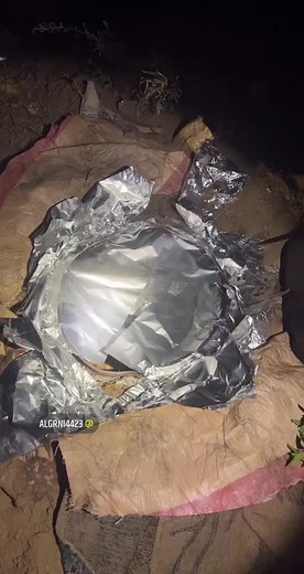 Outdoor Spit-Roasting a Whole Pig: Step-by-Step Guide