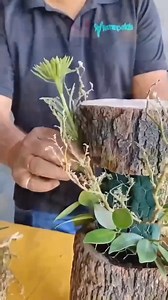 DIY 😍 | DIY Gardener