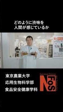 渋いってなんですか？【東京農業大学/食品安全健康学科】