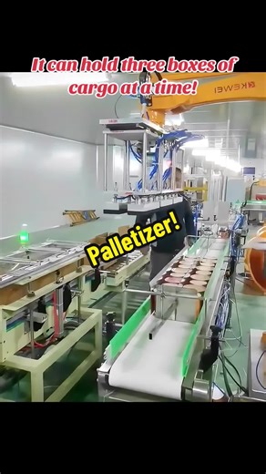 Efficient Palletizer for Cargo Handling