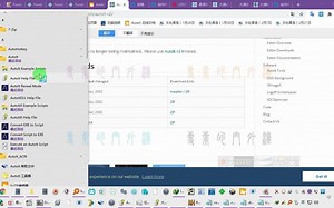 经分析AutoIt.exe和编译后的exe应该hi同一个内容然后再hex文件末尾添加了脚本进去然后内存释放解析