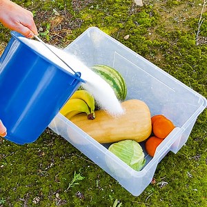 691K views · 1.6K reactions | Easy tips for preserving food longer: | Now I've Seen Everything | Facebook