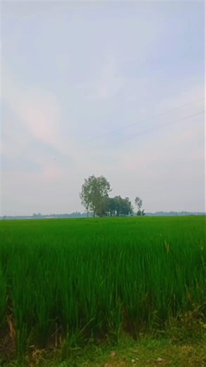 DIy garbage plastic dress#shortvideo #monivlogs