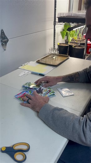 How to store seeds properly! #homestead #garden #gardening #gardeningtips #seeds #storage