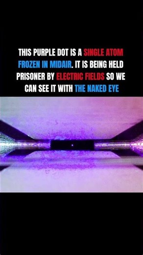 A Real Photo of a Trapped Atom 📸