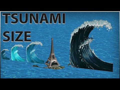 Tsunami Height Comparison (3D)